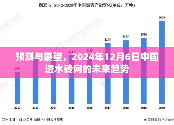 中国透水砖网未来趋势预测与展望，2024年展望