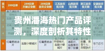 贵州潘海热门产品深度评测，特性、使用体验与目标用户群分析