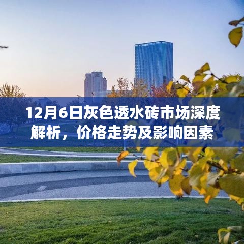 12月6日灰色透水砖市场深度解析，价格走势与影响因素探讨