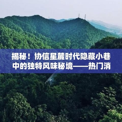 独家揭秘，协信星麓时代隐藏小巷中的风味秘境，热门独家爆料