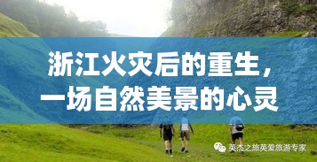 浙江重生之旅，火灾后的自然美景心灵之旅