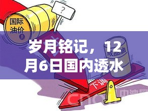 岁月铭记，国内透水砖批发业在12月6日的辉煌与深远影响