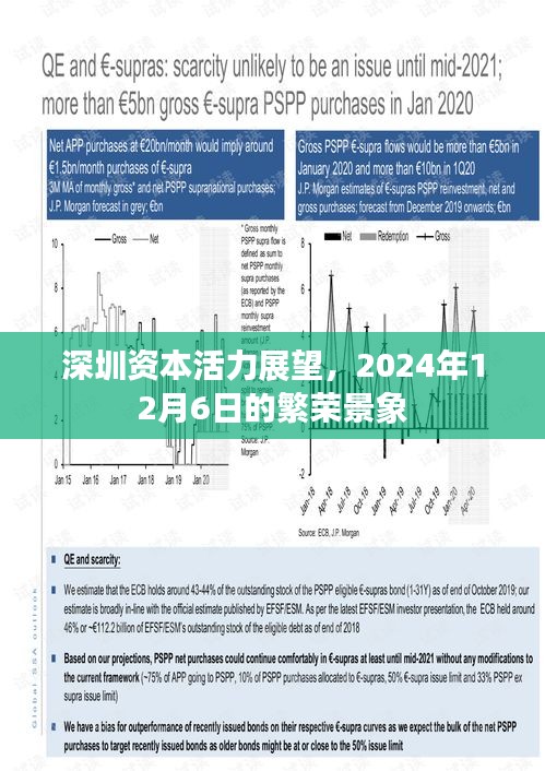 深圳资本活力展望，繁荣景象下的未来展望（2024年12月6日）