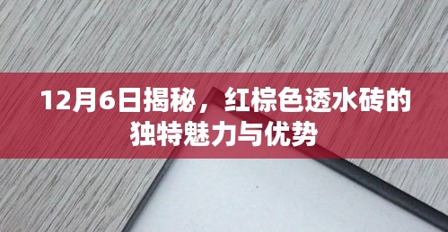 揭秘红棕色透水砖的独特魅力与优势，12月6日深度解读