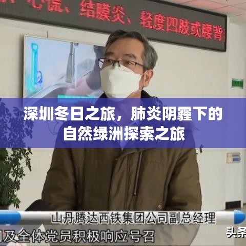 深圳冬日绿洲探索之旅，肺炎阴霾下的自然之美