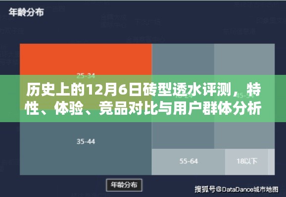 历史上的砖型透水评测，特性、体验、竞品对比与用户群体深度分析
