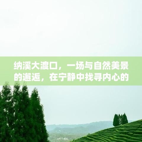 纳溪大渡口，自然美景中的心灵之旅，探寻平和与力量