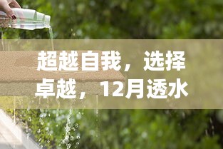 励志成长之旅，超越自我，选择卓越——12月透水砖批发背后的故事