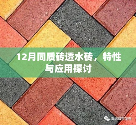 12月同质砖透水砖特性及应用探讨