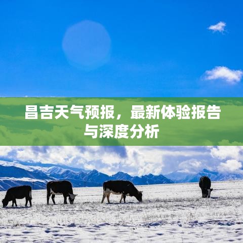 昌吉天气预报，最新体验报告与深度解读