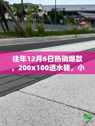 小红书热销爆款，建筑美学新宠——200x100透水砖揭秘！