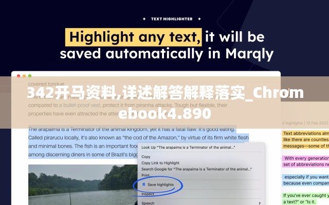 342开马资料,详述解答解释落实_Chromebook4.890