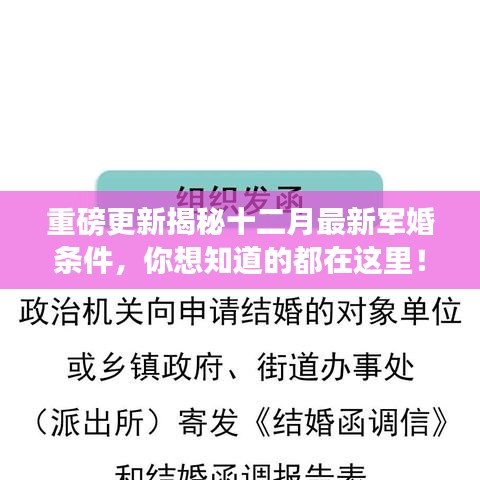 揭秘十二月最新军婚条件，你想知道的所有细节都在这里！