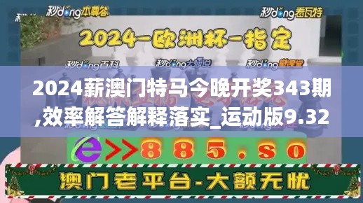 2024薪澳门特马今晚开奖343期,效率解答解释落实_运动版9.325