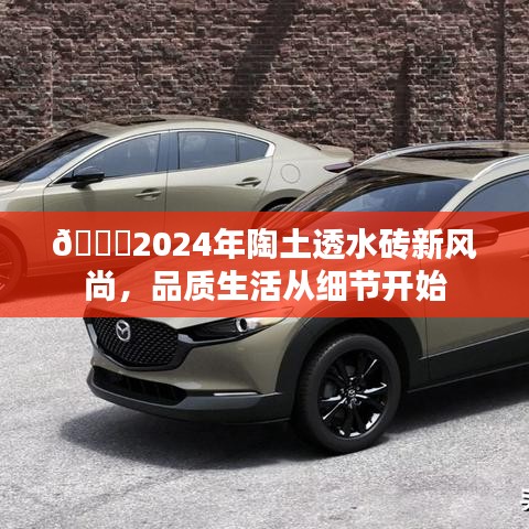 2024陶土透水砖新风尚，品质生活源于细节打造