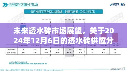 未来透水砖市场展望，供应分析与趋势预测（2024年12月6日）