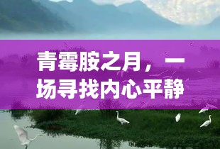 青霉胺之月，十二月内心平静之旅