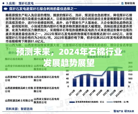 2024年石棉行业发展趋势展望与预测分析