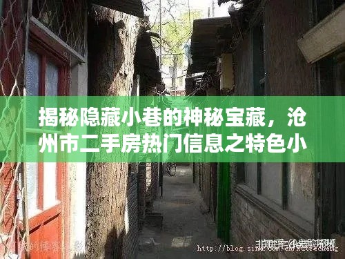 揭秘隐藏小巷的神秘宝藏，沧州市二手房特色小店探秘之旅