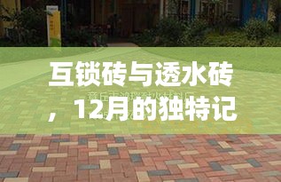 互锁砖与透水砖，12月行业洞察与独特记忆分享