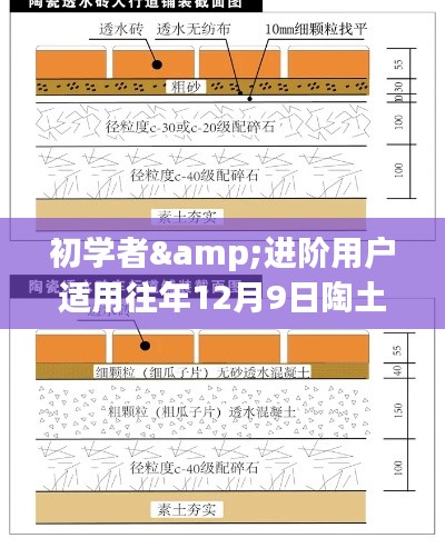 2024年12月9日 第13页