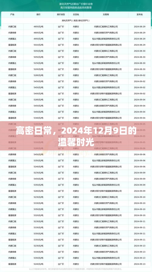 高密日常，温馨时光记录于2024年12月9日