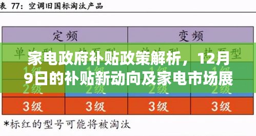 家电政府补贴政策深度解析，最新动向及市场展望（要点详解）