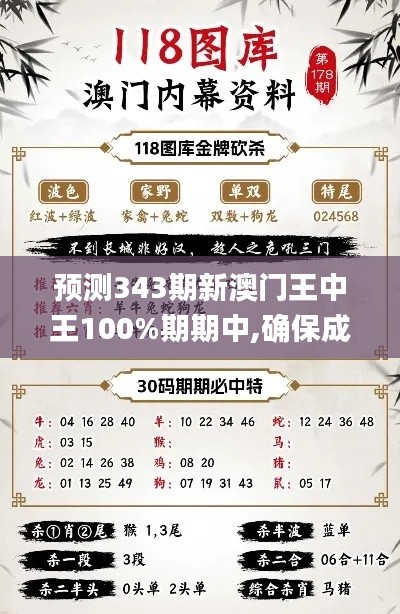 预测343期新澳门王中王100%期期中,确保成语解释落实_挑战款1.773