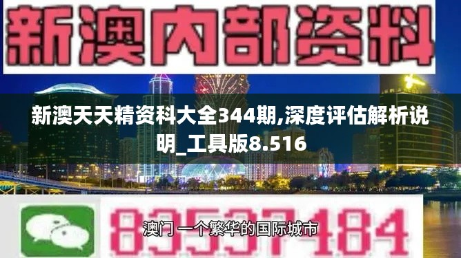 新澳天天精资科大全344期,深度评估解析说明_工具版8.516