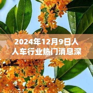 2024年12月9日人人车行业最新动态与热门消息深度剖析