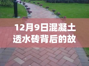 12月9日混凝土透水砖背后的故事，变化、学习与自信的力量塑造美好未来之路