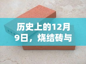 烧结砖与透水砖制作区别详解，历史篇（12月9日特辑）