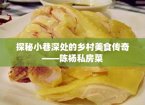 探秘乡村小巷深处的私房美食传奇——陈杨私房菜