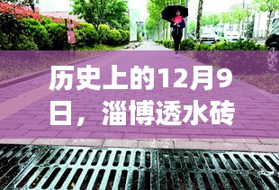 淄博透水砖与文昌湖魅力深度解析，历史视角下的12月9日