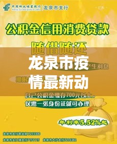 龙泉市疫情防控最新动态解析，深度观察疫情防控现状与未来展望