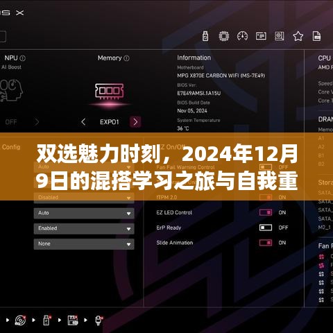 双选魅力时刻，混搭学习之旅与自我重塑的奇妙冒险（2024年12月9日）