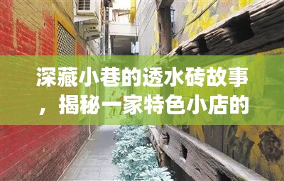 小巷深处的透水砖故事，一家特色小店的独特历程揭秘