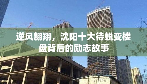 沈阳待蜕变楼盘背后的励志故事，逆风翱翔之旅