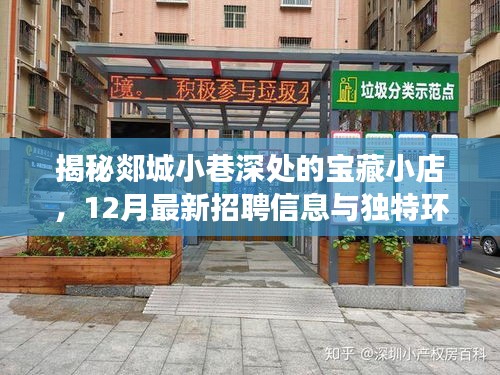 郯城小巷深处的宝藏小店探秘，最新招聘信息与独特环境之旅