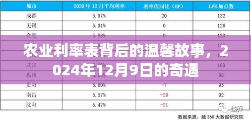 农业利率表背后的故事与奇遇，2024年12月9日的探寻