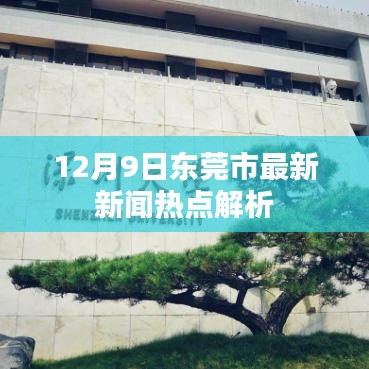 东莞市最新热点新闻解析（12月9日）