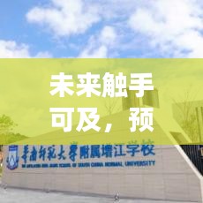 2024年热门平板电脑预测，学习变革引领未来，触摸时代赋予我们自信与力量