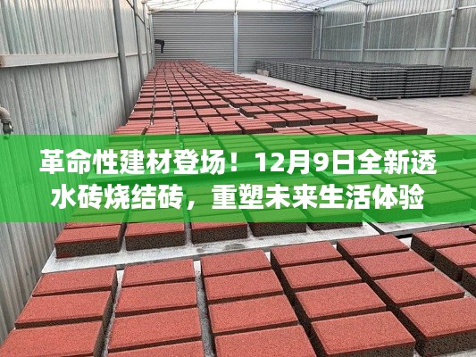 革命性建材登场！全新透水砖烧结砖重塑未来生活体验