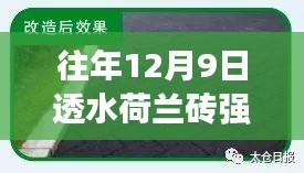 往年12月9日荷兰砖透水砖强度评测，特性、使用体验与竞品对比报告