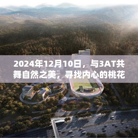 与3AT共舞自然之美，探寻内心的桃花源，2024年12月10日