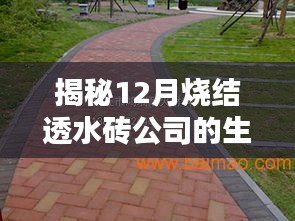 揭秘，12月烧结透水砖公司的生产内幕