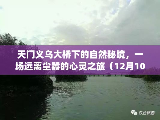 天门义乌大桥下的隐秘秘境，心灵逃离尘嚣之旅（最新热门动态）