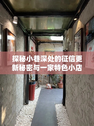 探秘小巷深处的征信更新秘密与独特小店魅力之旅