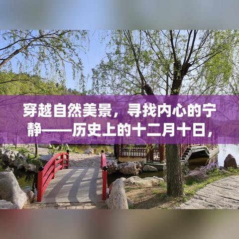 穿越自然美景探寻内心宁静，十二月十日的奇妙自然之旅