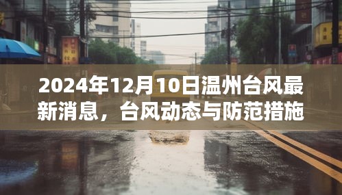 台风动态更新，温州台风最新消息及防范措施（2024年12月10日）